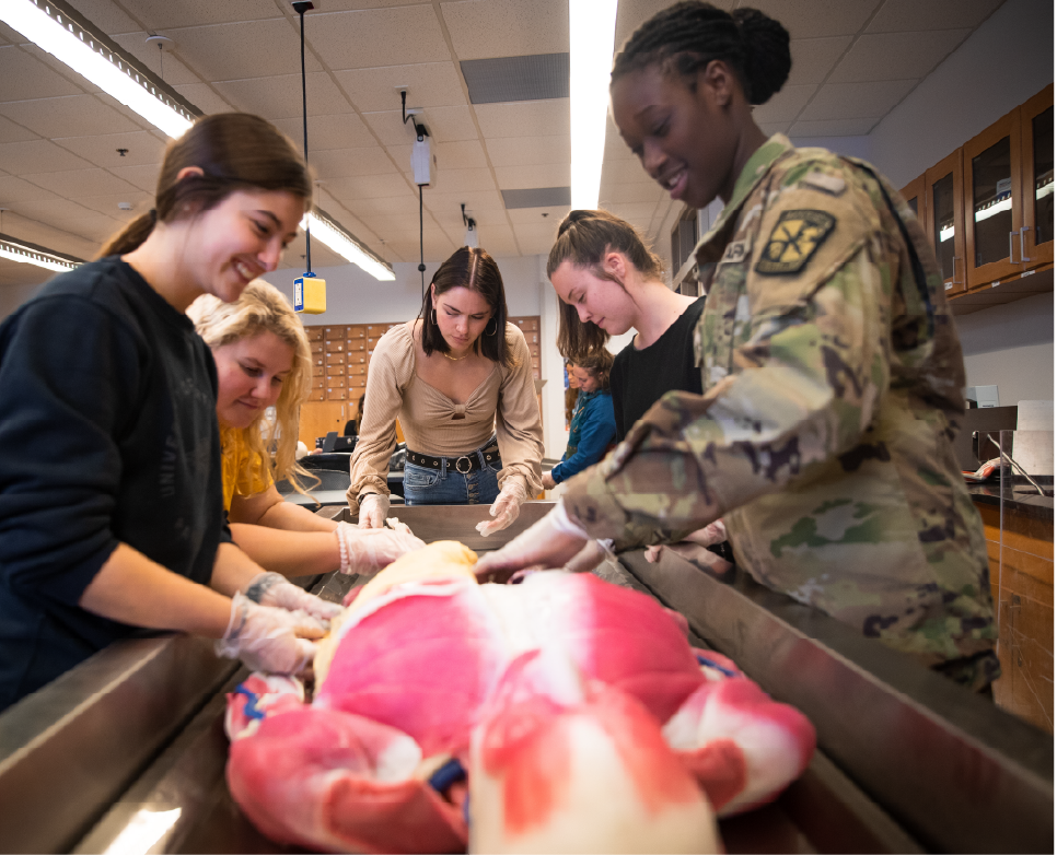 Synthetic human anatomy models